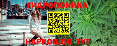 гидропоника Севастополь