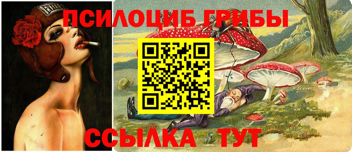 Псилоцибиновые грибы GOLDEN TEACHER  Псилоцибиновые грибы ЛСД  Вход с VPN  Серов 