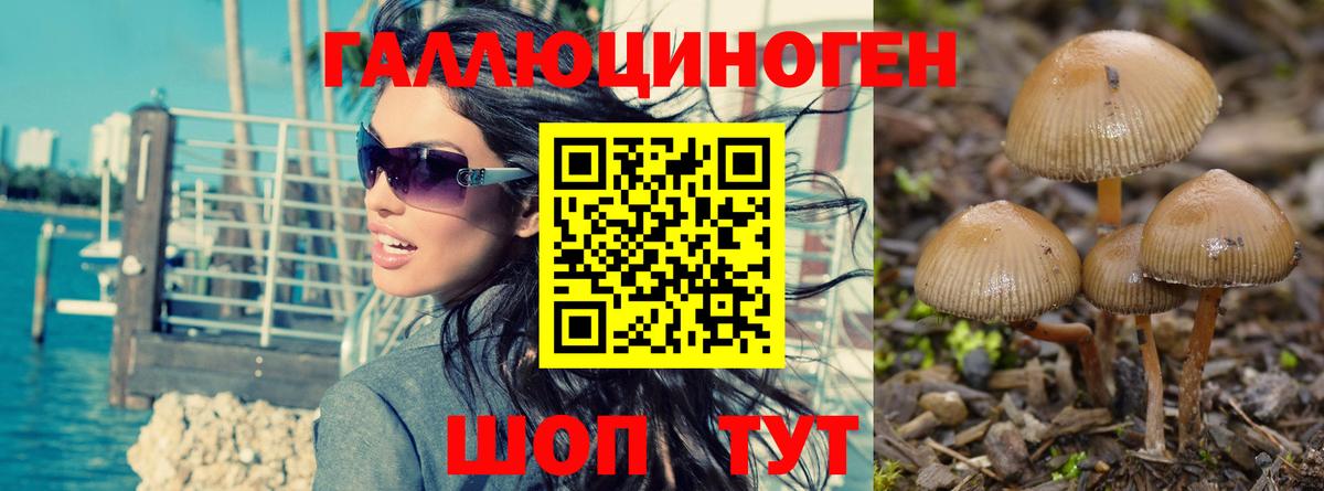 Галлюциногенные грибы Magic Shrooms Серов